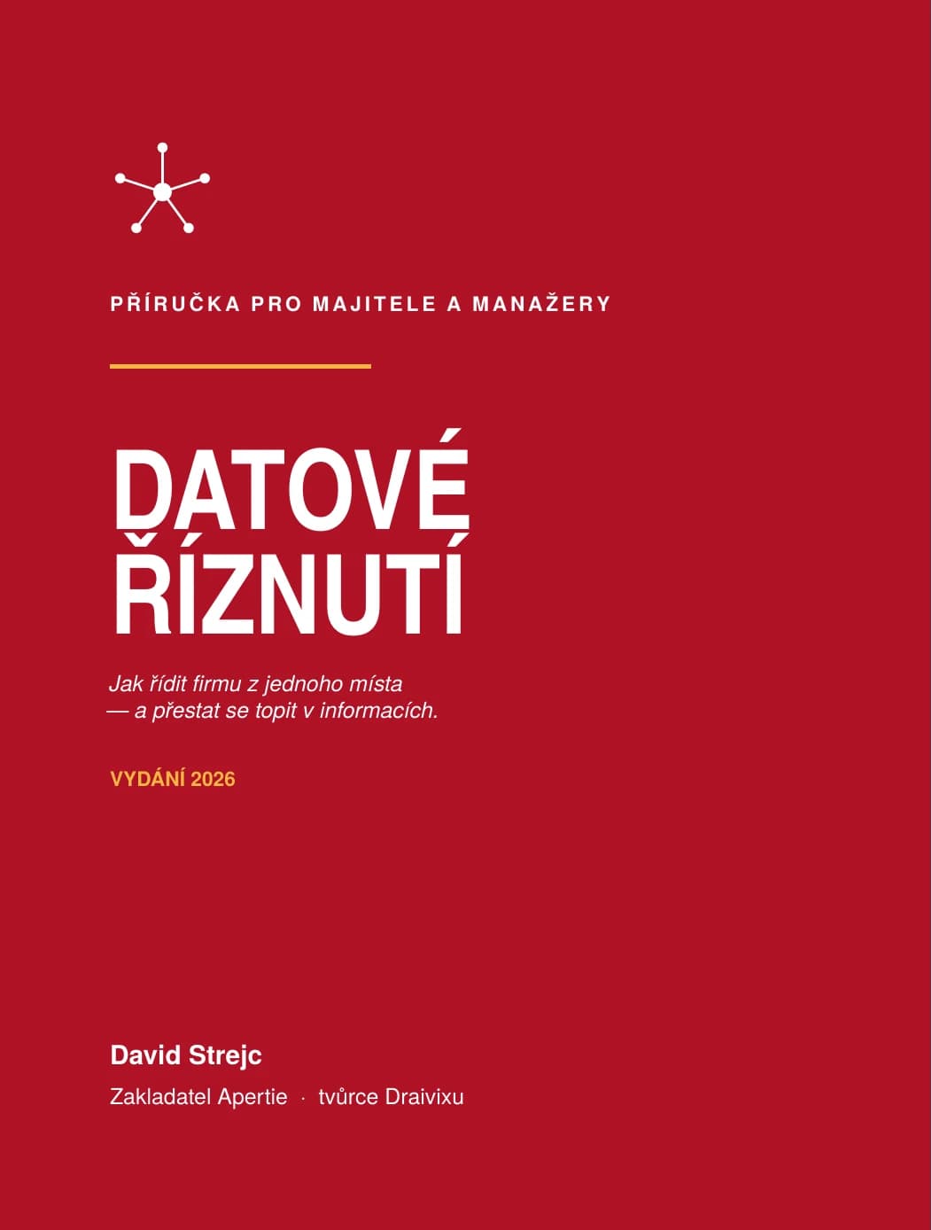 Obálka knihy Datové říznutí od Davida Strejce